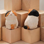 Calico Cat