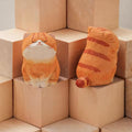 Ginger Cat