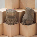 Gray Cat