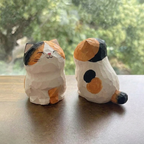 Calico Cat
