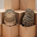 Tabby Cat