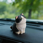 Tuxedo Cat
