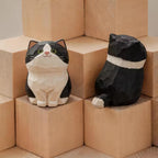 Tuxedo Cat